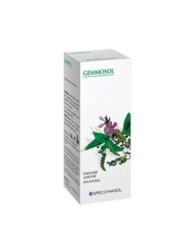 Ribes nero gemmoderivati: salute e benessere