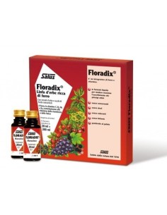 Floradix Ferro Integratore Ferro Vitamine 10 Flaconcini
