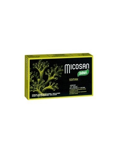 Hericium e vitamine B - Integratore alimentare