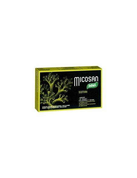 Hericium e vitamine B - Integratore alimentare