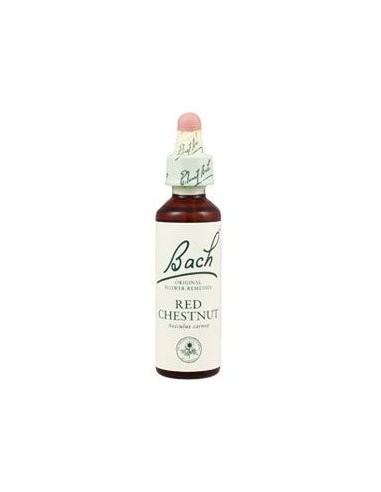 Fiori di Bach Red 25 Chestnut Gocce – Benessere