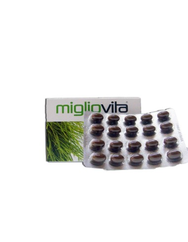 Santiveri Sa 37251 Migliovita, 80 Perle
