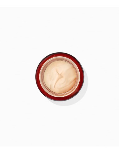 Collagenina Crema Giorno Rimpolpante Rassodante con 6 Collageni (Crema Giorno Grado 3)