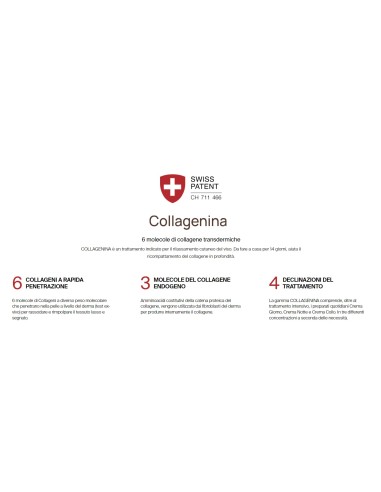 Collagenina Crema Giorno Rimpolpante Rassodante con 6 Collageni (Crema Giorno Grado 3)